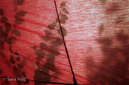 Red_market_shadow